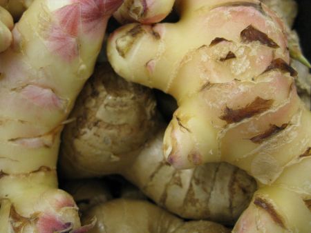 Ginger in Nova Scotia? You bet (Photo: Gerald's World).