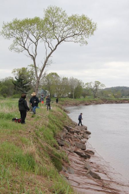 Fishing off the Shubenacadie River dyke.