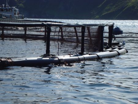 In Nova Scotia, Environmental Assessments are no longer required for fin-fish farms like this one. [Photo: peigi_pest]