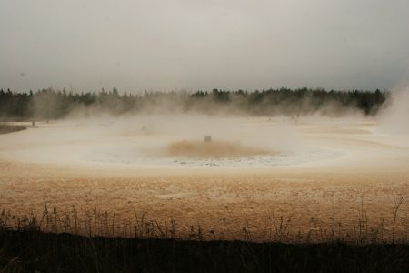 Pollutionof Pictou County's Boat Harbour is stopping members of Pictou Landing First Nation from growing their own food or accessing traditional foods such as wild game, berries and fish.  Photo Miles Howe.