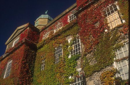 Dalhousie University Professors could go on strike March 12th. (photo: Thorfinn via wikipedia.org)