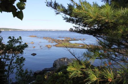 For years the Waterfront Development Corporation has been infilling a pristine part of the Bedfod Basin. Now it wants to develop the land.  A group of concerned citizens is fighting back. And claiming some victories along the way. Photo facebook