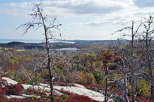 Purcell's Cove Backlands - Saved from development by tie vote in HRM council [Photo: Backlands Coalition]