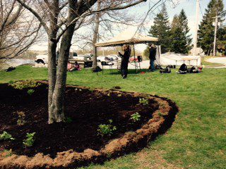 Natural trees and seeded mulch were just some of the techniques used to rehab Conrose Park [Photo: R. Lohnes]