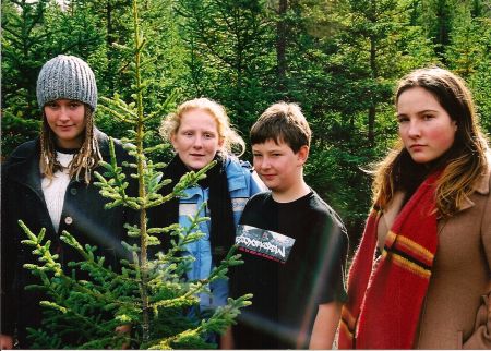 The Youth Environmental Group visits a clear cut in Ship Harbour with the Standing Tall campaign.