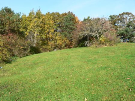 The lawn of the established cemetary at Pleasant Hill ends at the boundary of some early-successional forest and brush that will be cleared for the Green section (Photo: Jen Stotland)