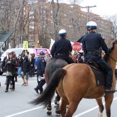 Mounted Hailfax police officers stare down masked protesters