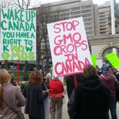 Nova Scotians call for a ban on genetically modified foods