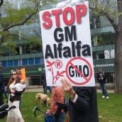 Nova Scotians call for a ban on genetically modified foods