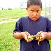 T. brought his Frogs to introduce to us. Many of the participants acted out nurturing aspects of their personalities after becoming comfortable with the others in the drop-in classes.