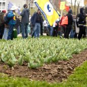 G8 Rally and Picket, Halifax.