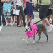 A Parade - Halifax Pride Parade Pageantry