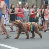 A Parade - Halifax Pride Parade Pageantry