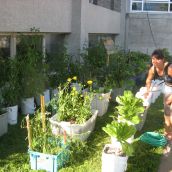 Sarah McLean, CAF member, exhibits some of the container grown plants, including pepper plants and leafy greens.