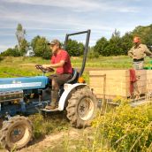 Taproot Farm, Pictured from L to R: Calvin Stacey and Gerald Stacey.  Photo: Patrick Little