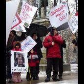 all ages brave freezing rain