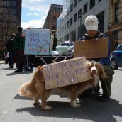 The impacts of shale gas exploration - from clearcutting, to increased traffic, to water and air pollution - have many Nova Scotians concerned, but it's fracking in particular that has struck a nerve.