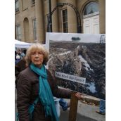 Rally for our Forests was organized by the Ecology Action Centre and Save Caribou