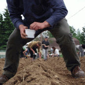 Many hands make light work;  the whole field of corn and beans getting planted in an hour.