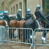 Occupy Wall St., Nov. 17, 2011