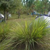 Occupy Ft. Myers, Dec. 8, 2011