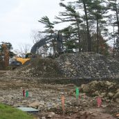 Until recently this was the site of an urban forest, complete with 250-year ol Hemlock.  Photo Robert Devet