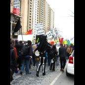 Flags and signs were held up by protesters