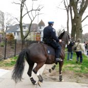 Journalists are chased away by a police horse gone wild