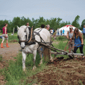 Justine and Connell working with Dixie to prep that field for the collective corn and beans planting.