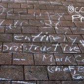 The Peoples Chalk Messages. Why I Occupy NS