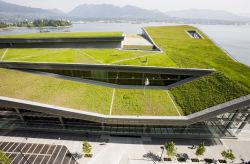 green space for Vancouver's downtown birds and bees, photo VCCW