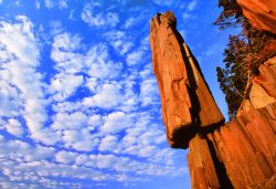 Basalt Shard on the Bay of Fundy coast Photo credit copyright Stephen Patterson 