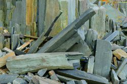 Basalt Shards on the Bay of Fundy coast Photo credit copyright Stephen Patterson 