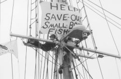 Fisherman Fred Sears, occupying the Bluenose on the Halifax waterfront. Hook and line fishermen courageously fought for a human-centred solution to the fisheries crisis against the corporatization and privatization of the fisheries by the Department of Fisheries and Oceans in service of monopoly right.