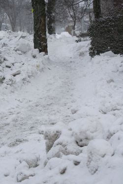 A Halifax sidewalk: rough going.