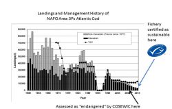 Eco-certification of Endangered Cod Population Undermines Credibility of the Marine Stewardship Council