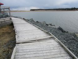 Erosion caused by global warming at Fisherman's Cove, Nova Scotia 2012 Photo by Joanne Light