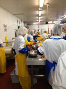 Inside the processing plant