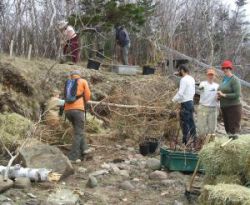 Living Shorelines restoration in action!