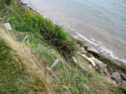 A snapshot of Nova Scotia’s coast that has been treated with the Living Shorelines approach