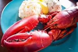 Nova Scotia Lobster Supper. By Benson Kua.